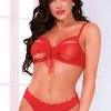 Seven 'til Midnight Red Chiffon Tie Bra Set Clearance