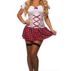 Velvet Kitten Study Partner School Girl Costume