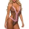 Velvet Kitten Trending Sellers Cats Meow Teddy