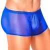 Male Power Men's Royal Mesh Pouch Shorts