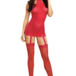 Dreamgirl Trending Sellers Sheer Garter Dress With Lace Trim