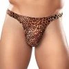 Male Power Leopard Wonder Thong Animal Print