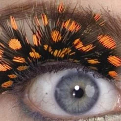 Rubies Orange Spotted Eyelashes Clearance