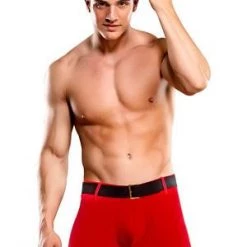 Male Power St Dick Costume Men's
