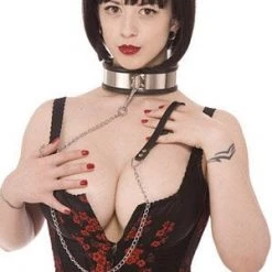 Eldorado Leather Steel Band Collar With Leash