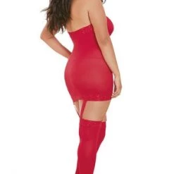 Dreamgirl Queen Red Sheer Garter Dress Plus Size
