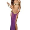 Dreamgirl Harem Slave Costume
