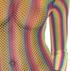 Leg Avenue Rainbow Fishnet Mini Dress