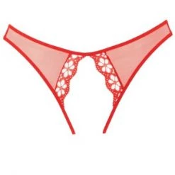 Allure New Items Mirabelle Plum Red Panty