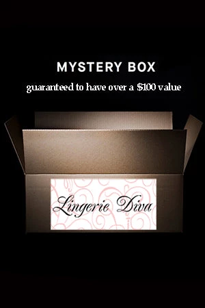 LingerieDiva Clearance Lingerie Diva Mystery Box 1 LingerieDiva Clearance Lingerie Diva Mystery Box